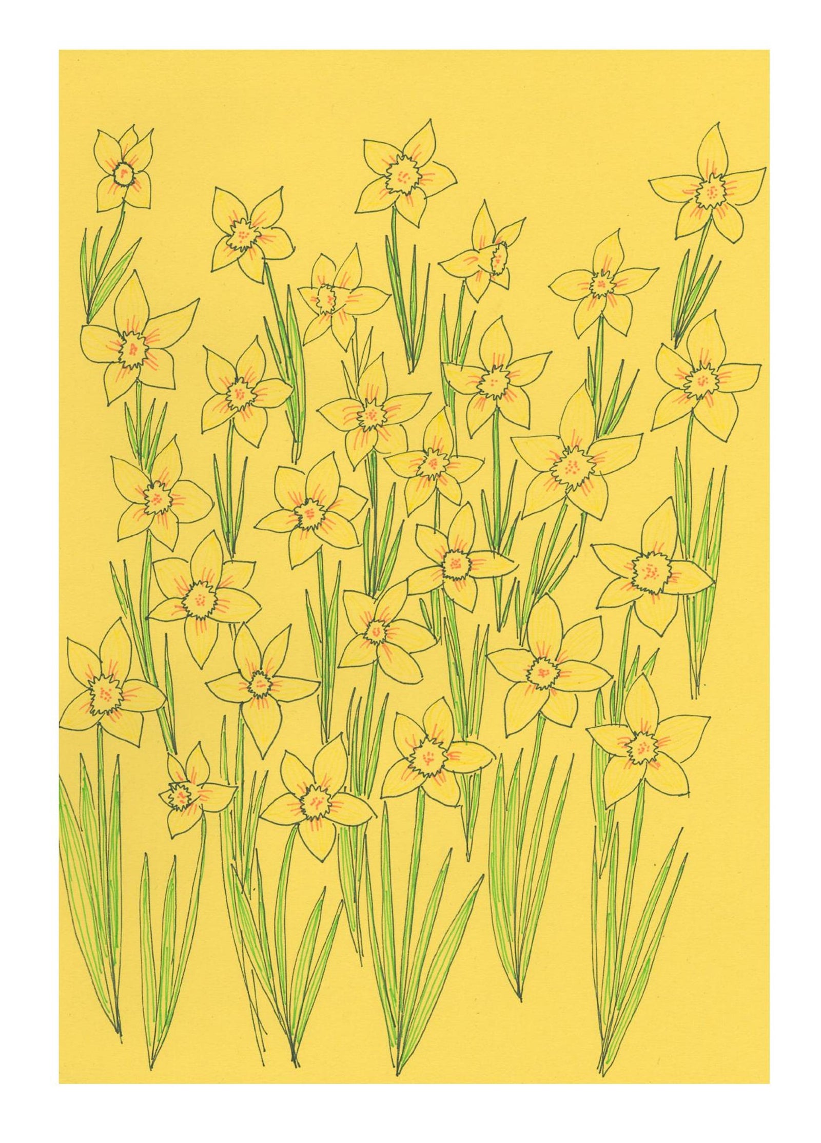 Daffodils Card