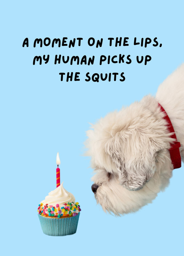 Funny Birthday Card From The Dog