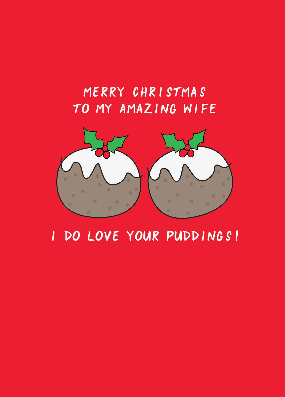 Merry Christmas To My Amazing Wife!