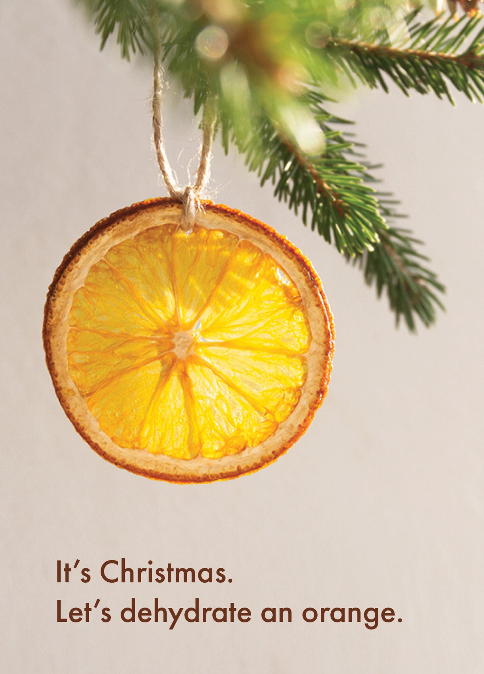 Dehydrate An Orange