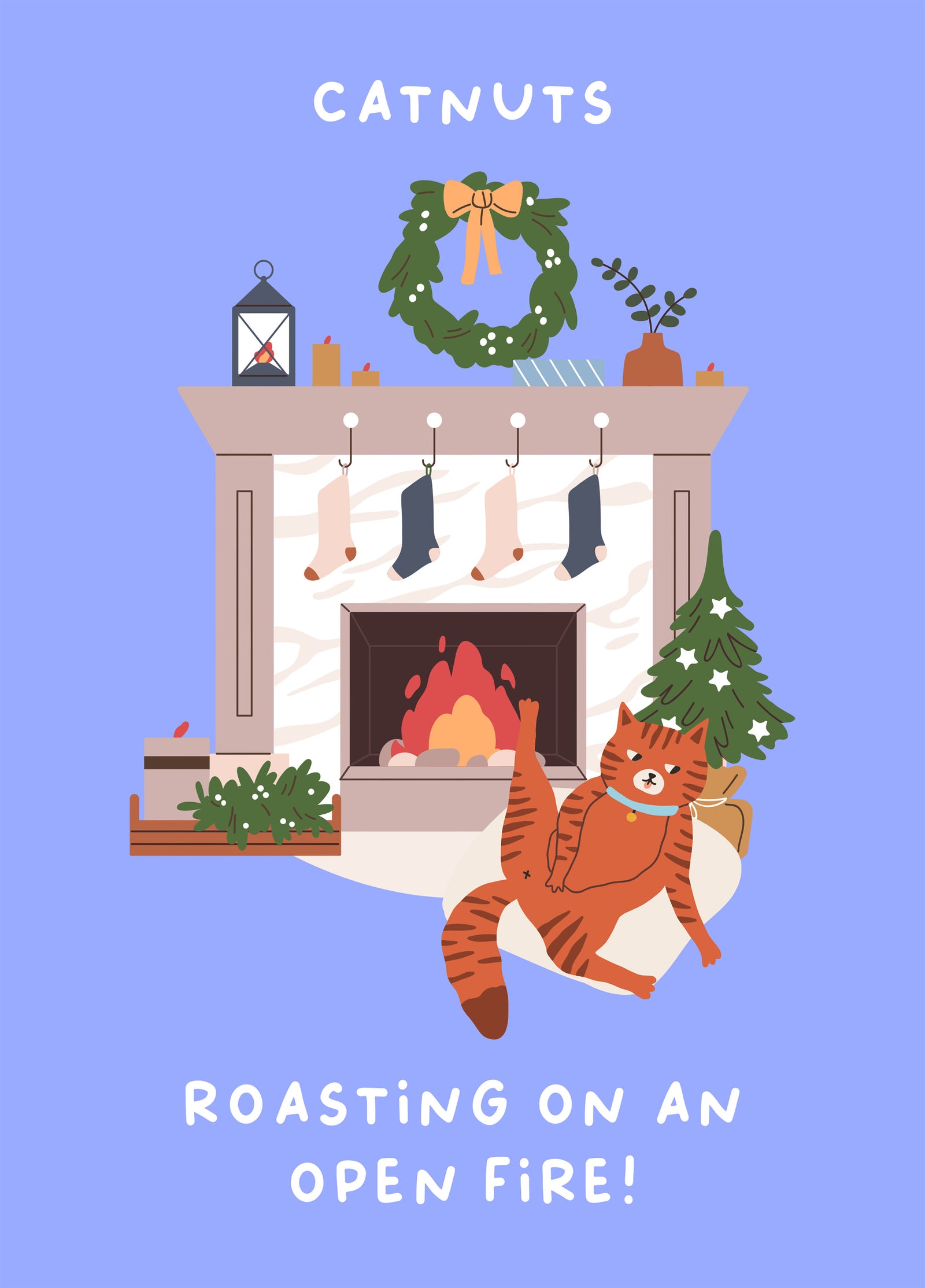Catnuts Roasting On An Open Fire