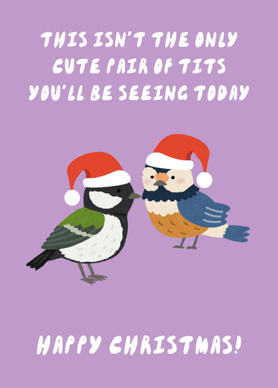 Cute Pair Of Tits