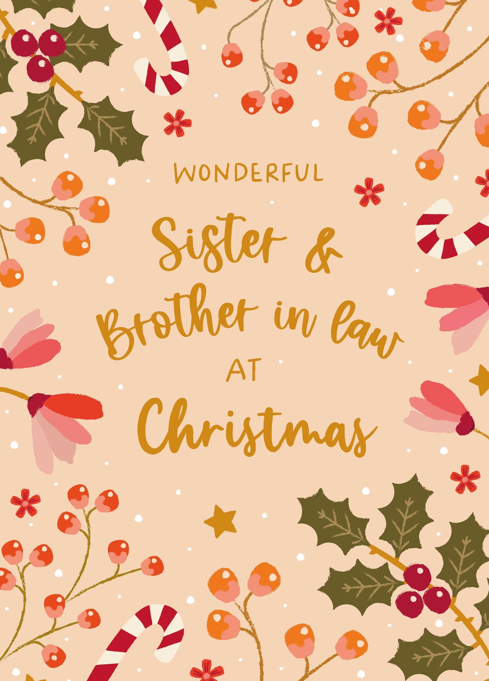 Merry Christmas Wonderful Sister & Brother In Law
