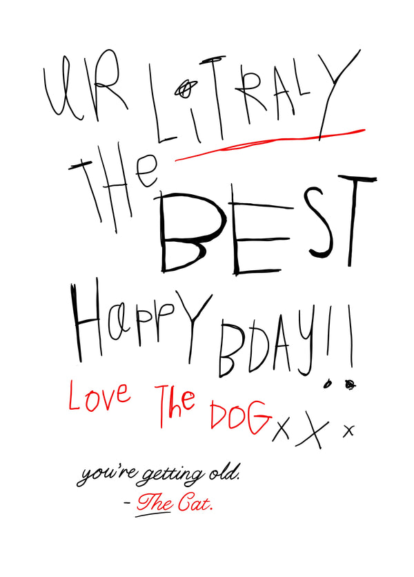 From The Dog And The Cat