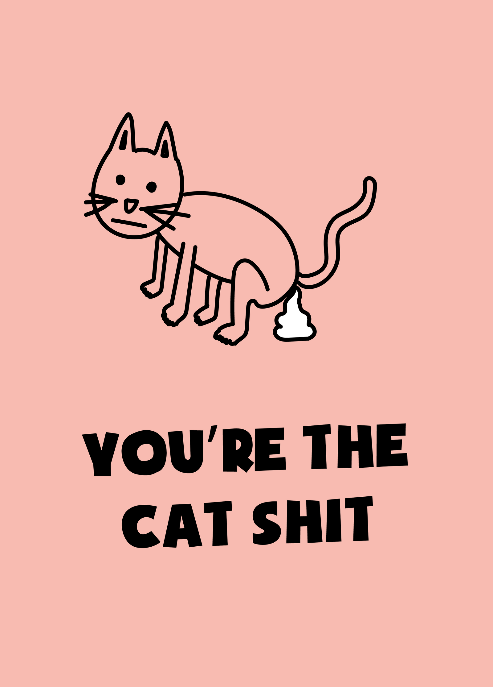 You're The Cat Shit Photo Card