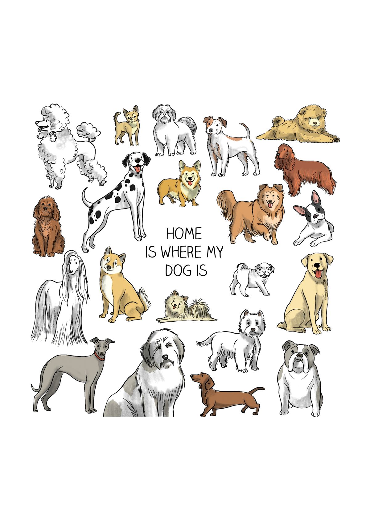 Home Is Where The Dog Is.