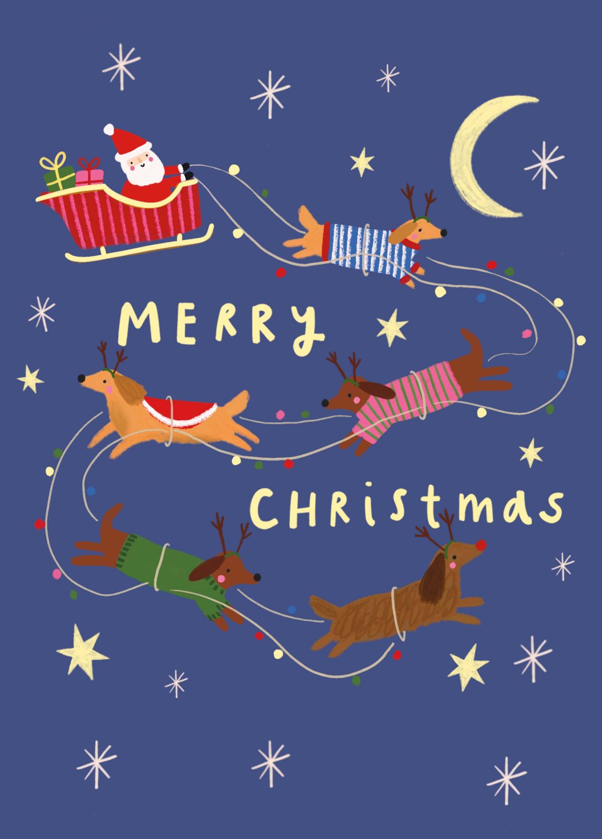 Merry Christmas Santa Dogs Sleigh Card