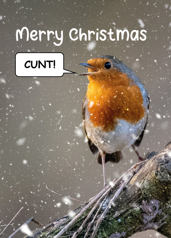 Robin Cunt Christmas Card