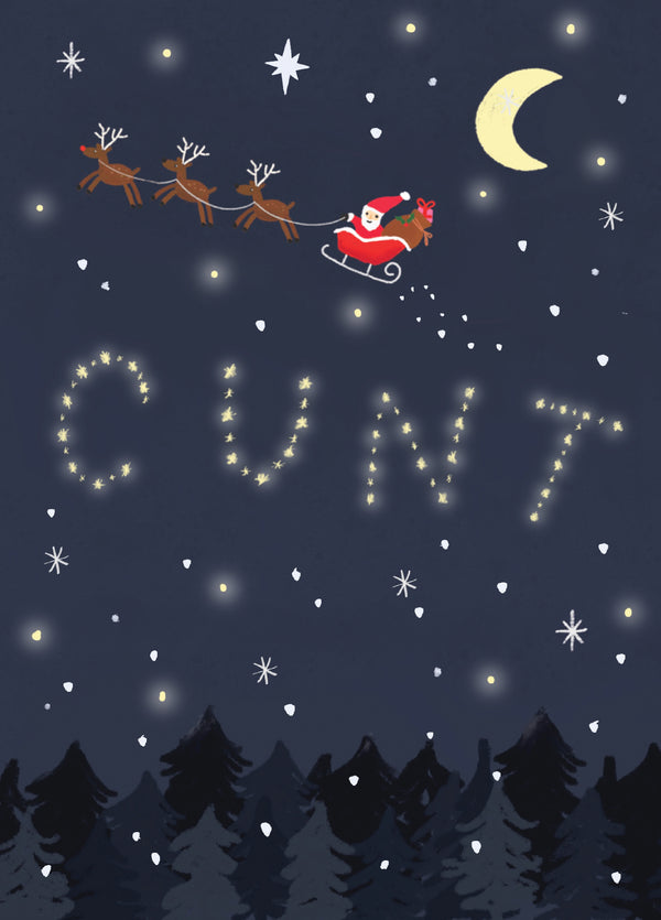 Cunt Santa's Sleigh Christmas Card