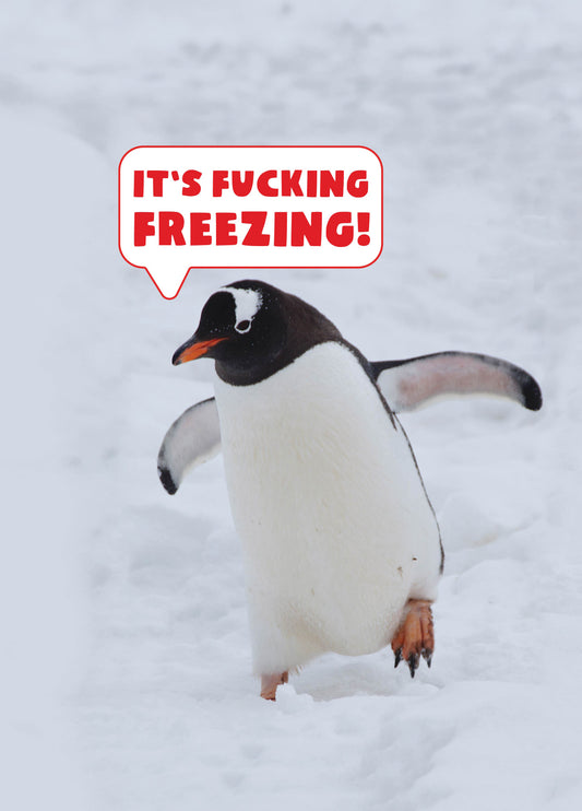Fucking Freezing Penguin Christmas Card