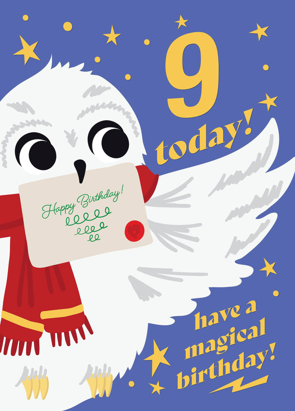 Magical Owl 9th Birthday Card