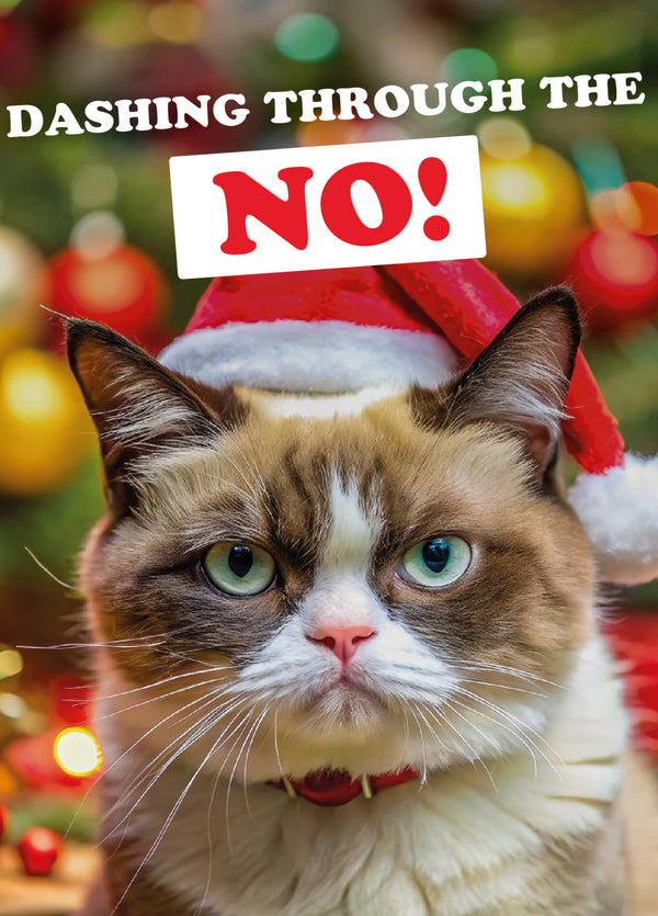 Dashing Through The NO Christmas Card