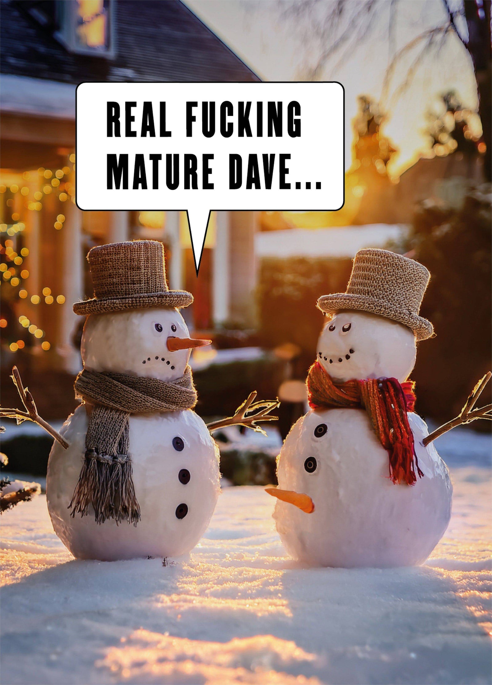 Real Fucking Mature Snowmen Christmas Card