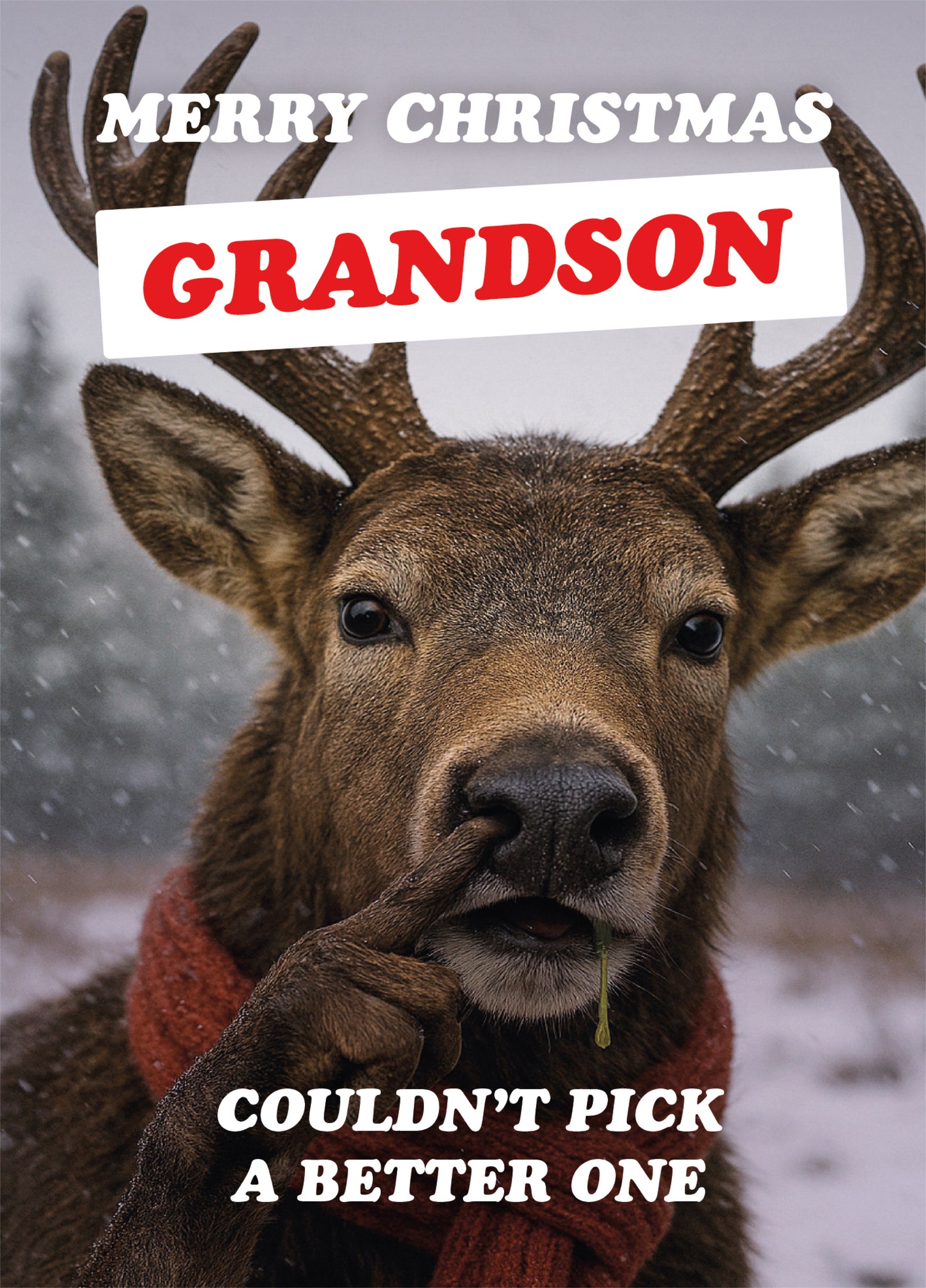 Grandson Couldn't Pick Reindeer Christmas Card