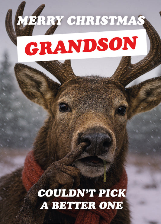 Grandson Couldn't Pick Reindeer Christmas Card