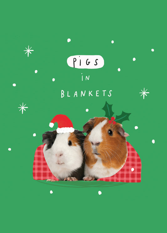 Guinea Pigs In Blankets Christmas Card