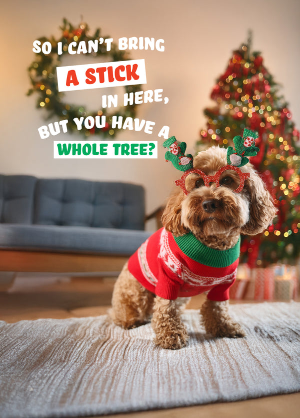 Cockapoo Stick Christmas Card