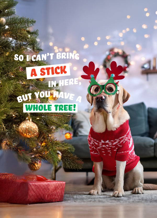 Labrador Stick Christmas Card