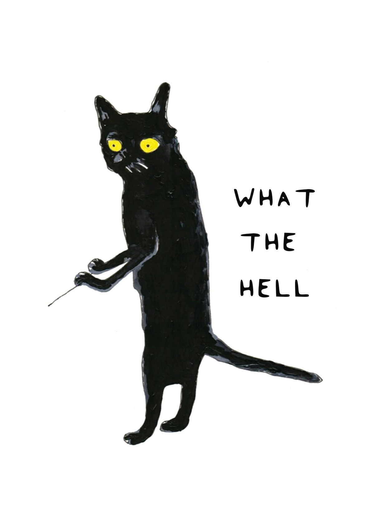What The Hell Cat