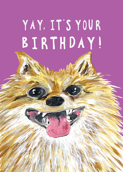 Yay, It's Your Birthday Pomeranian