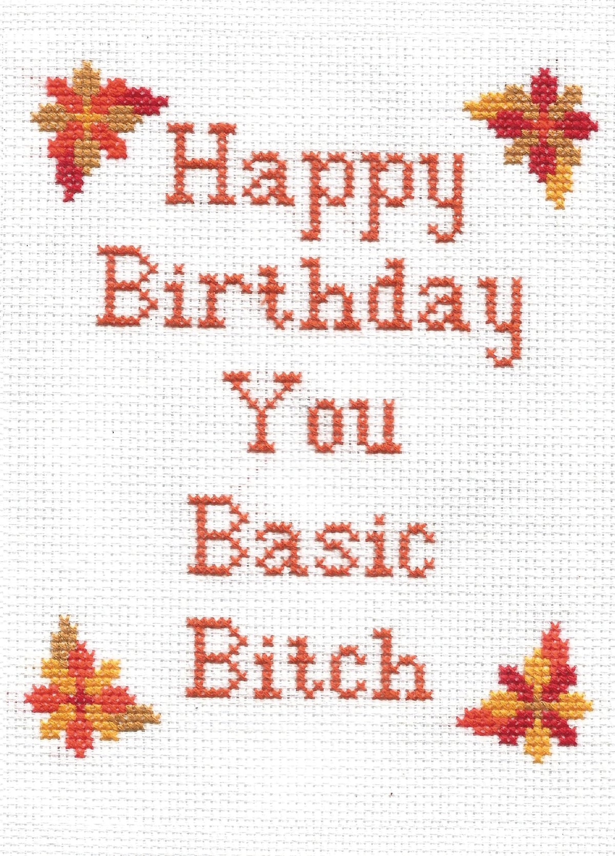 Basic Bitch