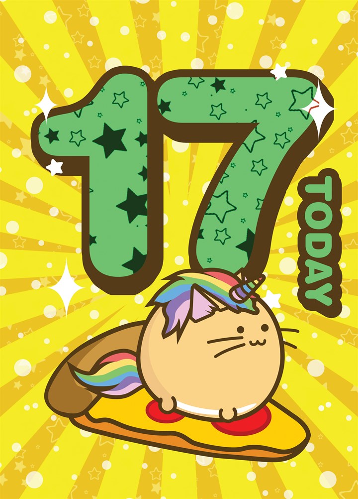17 Today Birthday - Fuzzballs Card
