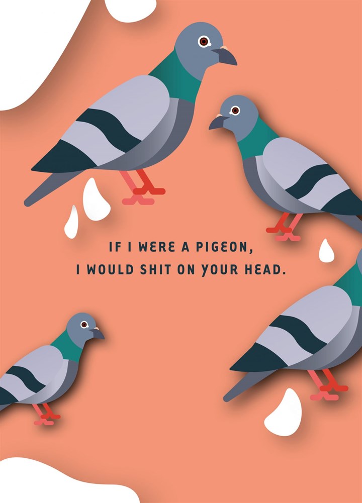 Pigeon Card