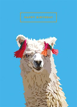 Another year older? No probllama! Send this Art File design to a party animal on their birthday.