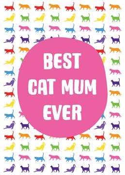Rainbow coloured cat silhouettes feature on this best cat Mum design. Perfect for Mum's birthday, Mother's Day and thank you's.