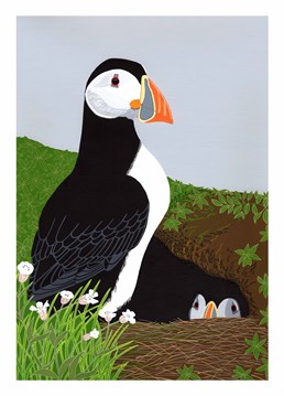 A couple of puffins trying to stay safe as Gordon Ramsey hunts them down for a stew. A Birthday card designed by Bird.