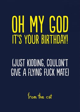 Rather blunt birthday card from the cat who genuinely couldn't care if you live or die.    From the honest but funny Buddy Fernandez.