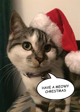 Send some Christmas wishes to that cat lover in your life with this card featuring Dixie, the official Blind Faith Cat wearing a Christmas hat.