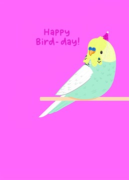 Know a crazy bird person who would just adore this card on their birthday? Then this is the perfect one to send them.