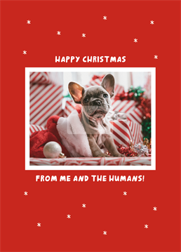 Personalise this cute Christmas photo upload card on behalf of the doggo.