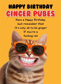 The perfect birthday card for 'A Ginner' this hilarious card let's the recipient know that it's only OK to be ginger if you are a cat! From the new kids on the humour block fockcards - Doing exactly as it says on the tin as it's definitely 'Funny As Fock'