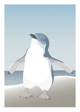 The world's smallest penguin is also one of the cutest. The little blue or fairy penguin / kororā, is found on the coastline of New Zealand and Australia. Image by New Zealand artist Cathy Hansby.