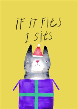 Any lover of cats will enjoy this Birthday card by Jolly Awesome.
