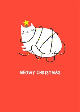 The cutest card for all the cat lovers out there. There's nothing better than a fluffy cat all dressed up for Christmas.