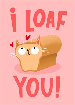 Love running deeper for your partner than for your love of complicated carbs? Show your husband, wife, boyfriend, girlfriend or significant other how much you care about this with this adorable illustrated valentines and anniversary card, featuring a cat loaf. Because cats and bread. What is not to love?