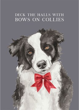 This fun and festive Border Collie card has been designed by lil wabbit. Send it to your favourite dog lover this Christmas!