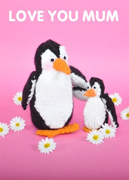 Give your Mum a lot of Penguin love with our Mint knit and purl Mother's Day cards. Get those happy feet out!