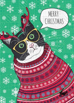 Cute! This cat wearing a Christmas jumper and antlers makes a great card by Rose Hill for those animal lover friends of yours. (You know - the nutty ones.)
