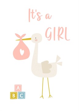 Congratulations on your new bundle of joy, here's a cute card to celebrate the birth of your baby girl.