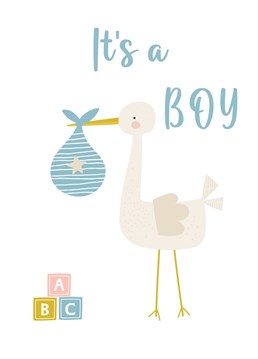 Congratulations on your new bundle of joy, here's a cute card to celebrate the birth of your baby boy.