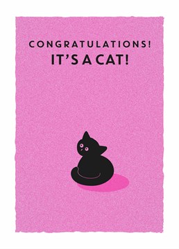 They've just taken the next step in their lives. They had a fur baby! Say congratulations on their new cat with this cute Scribbler card.