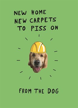 Aww they really shouldn't have! Your dog is SUPER excited to christen the new home. Designed by Scribbler.