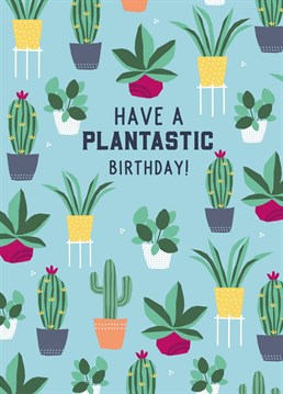 A foliage themed Birthday card for the plant loving friend in your life, sure to put a smile on their face