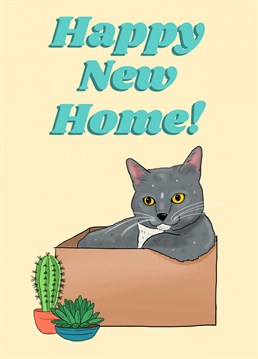 This new home card is perfect for cat lovers, original illustration by Paige Nicholas