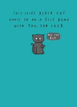 Who doesn't want a fist bump from a black cat? Send them this awesome Tillovision card and wish them all the best.