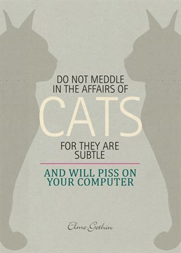 Some sagacious advice for anyone about to get a cat, from U-Studio and their feline friends.